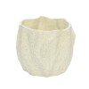 BASE CERAMICA BEIGE CL 13X17CM Unica