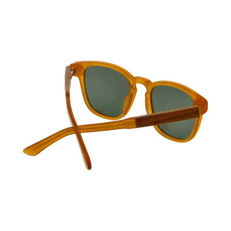 Lentes de Sol Indie Palm Ambar-Verde