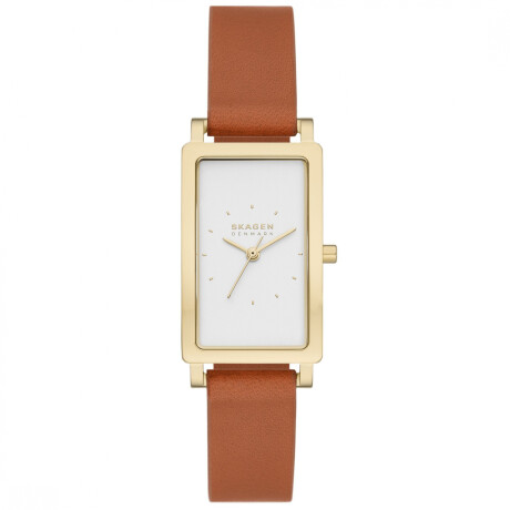 Reloj Skagen Clásico Cuero Marrón 0