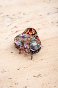 Broche Multi