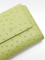 Cartera Con Grabado Animal verde