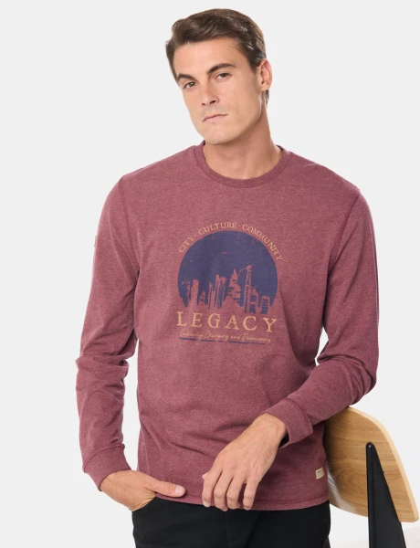 REMERA ESTAMPADA Bordo