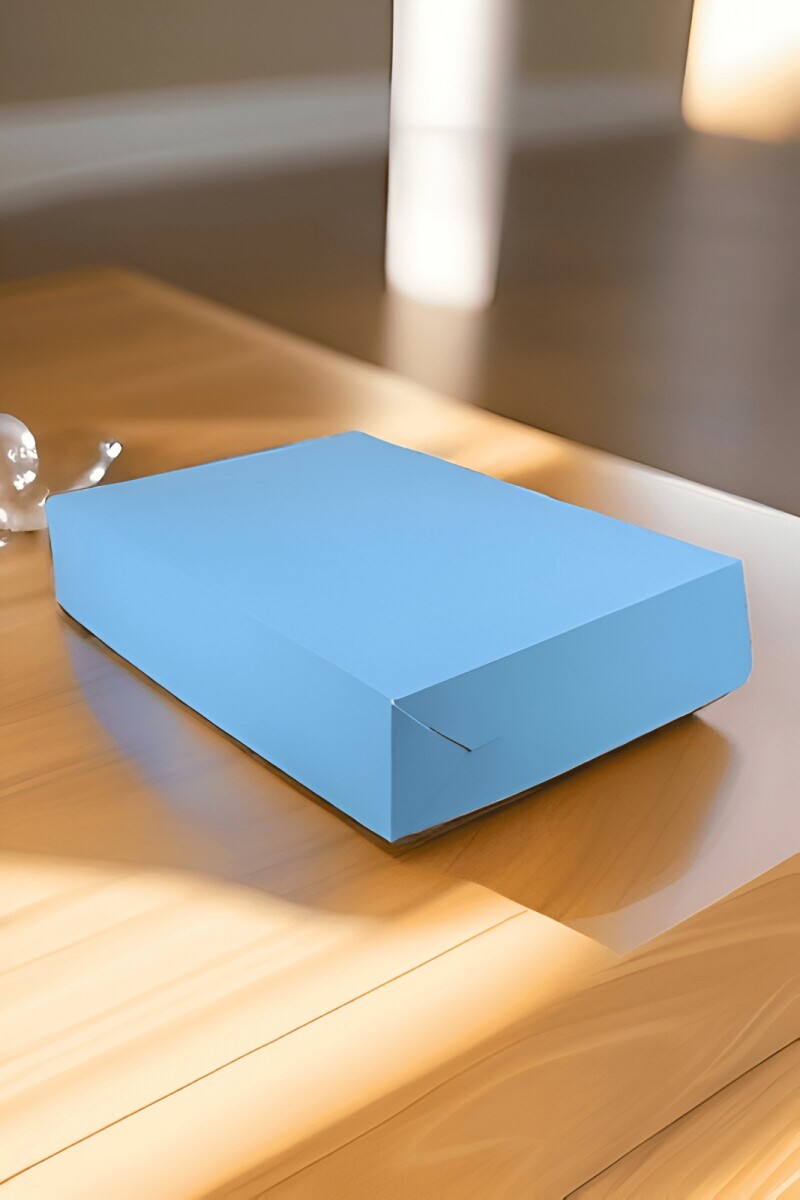 Caja masas 1kg - 22x30x6. - CELESTE 