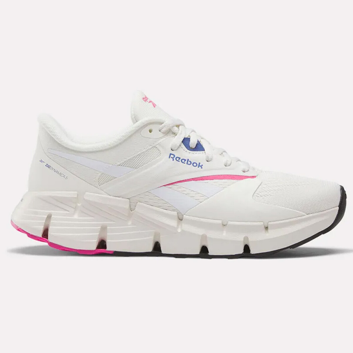 Zapatillas Running Zig Dynamica 5 Mujer 