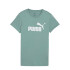 Remera de Hombre Puma Essentials Logo Verde
