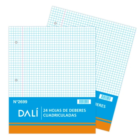 HOJAS DEBERES DALI CUADRICULADAS 24 HOJAS HOJAS DEBERES DALI CUADRICULADAS 24 HOJAS