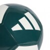 adidas PELOTA EPP CLB Green & White