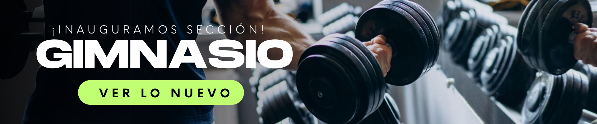 Gimnasio