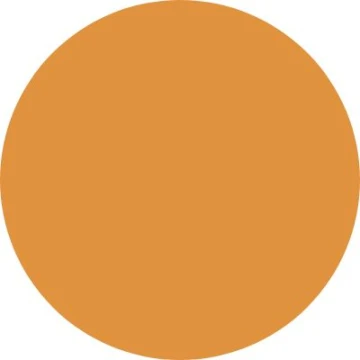 10204 Receta Naranja