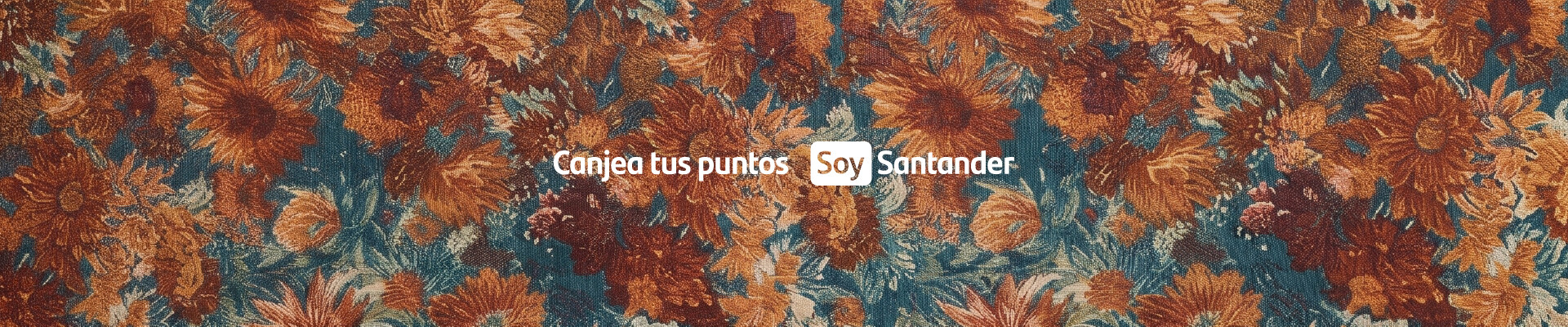 BANNER SANTANDER