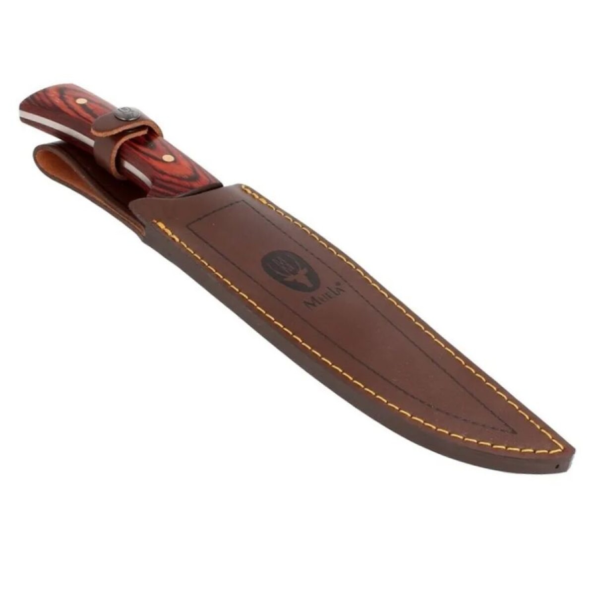 Cuchillo Muela Jabalí 21E 