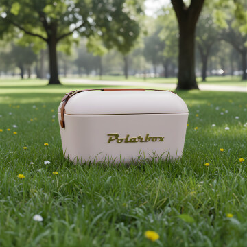 Conservadora Hielera Vintage 20L Litros Latas Hielo Polarbox Color Blanco