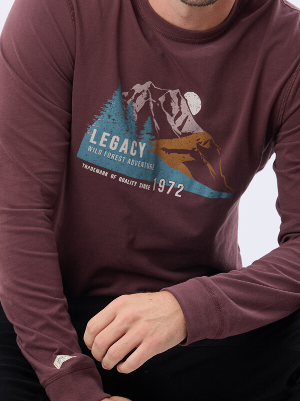 Remeras en flash desde $590