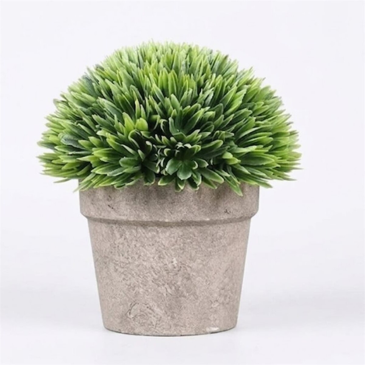 PLANTA LOTO EN MACETA H18X14CM 