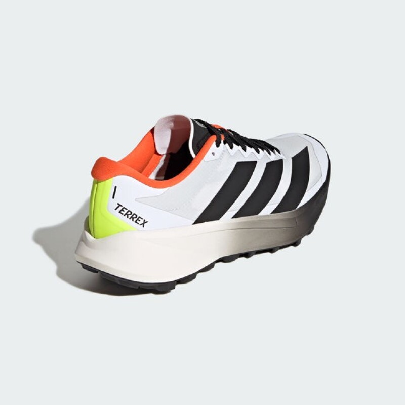Championes Adidas Terrex Agravic 4 Multicolor