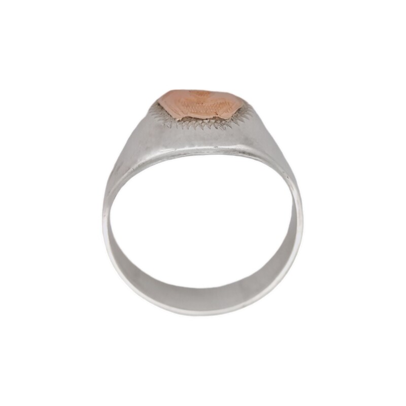 Anillo Profesión Masajista-Plata y Oro-Sin Piedra-AP5010 Sinpiedra