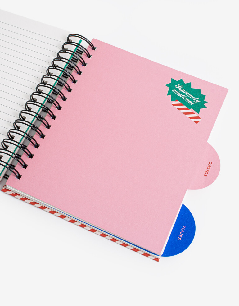 Agendas y Calendarios Planners Planner Dividido Tapa Dura Anillado. Cuenta Con 160 Hojas Rayadas, 53 Por Sección - Combinacion Multicolor