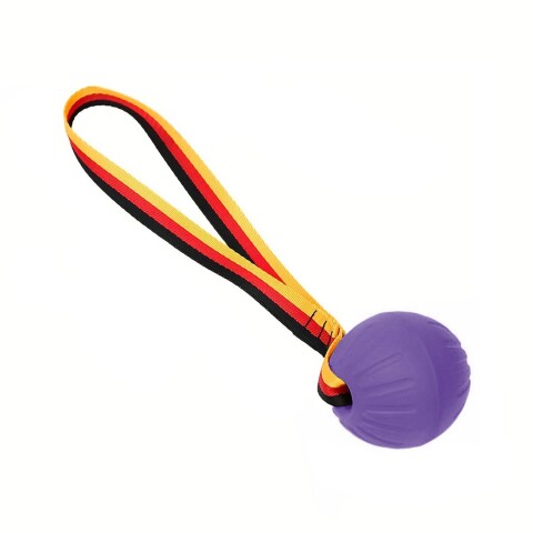 Juguete Pelota Con Cinta Morder Arañar Para Perros Gatos Variante Color Violeta