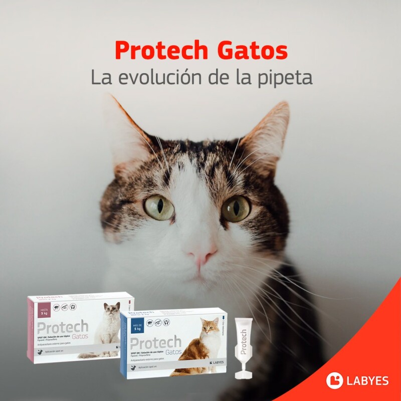 PROTECH PIPETA ANTIPULGAS CON ACCIÓN AMBIENTAL PARA GATOS HASTA 5 KG