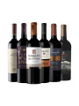Pack Bacán Selección Bacanazo Fin de Año x6 vinos premium Pack Bacán Selección Bacanazo Fin de Año x6 vinos premium
