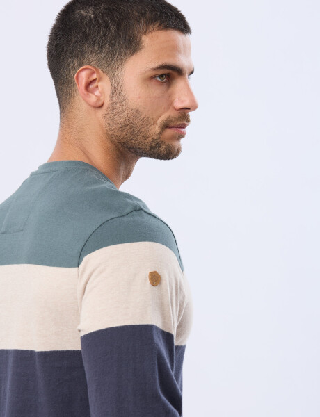 REMERA RAYADA CON ESTAMPA Azul