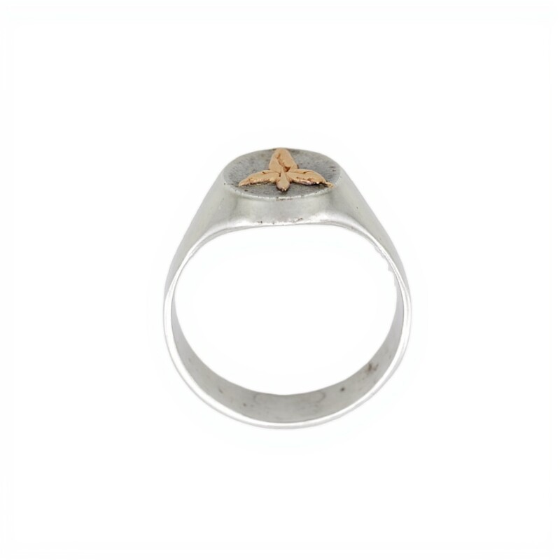 Anillo Profesión Medicina-Plata y Oro-Sin Piedra-AP5007 sinpiedra