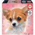 Puzzle 100 Piezas Perro Chihuahua Rompecabezas Educa Puzzle 100 Piezas Perro Chihuahua Rompecabezas Educa