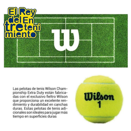 Tubo X3 Pelotas Wilson Regular Extra Duty Tennis Wilwrt100100
