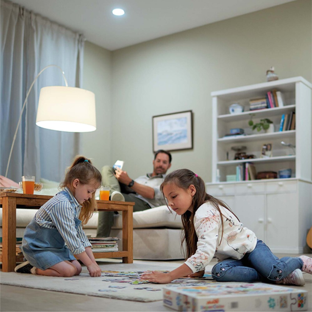 LÁMPARA LED INTELIGENTE PHILIPS METAL E27 60W A60