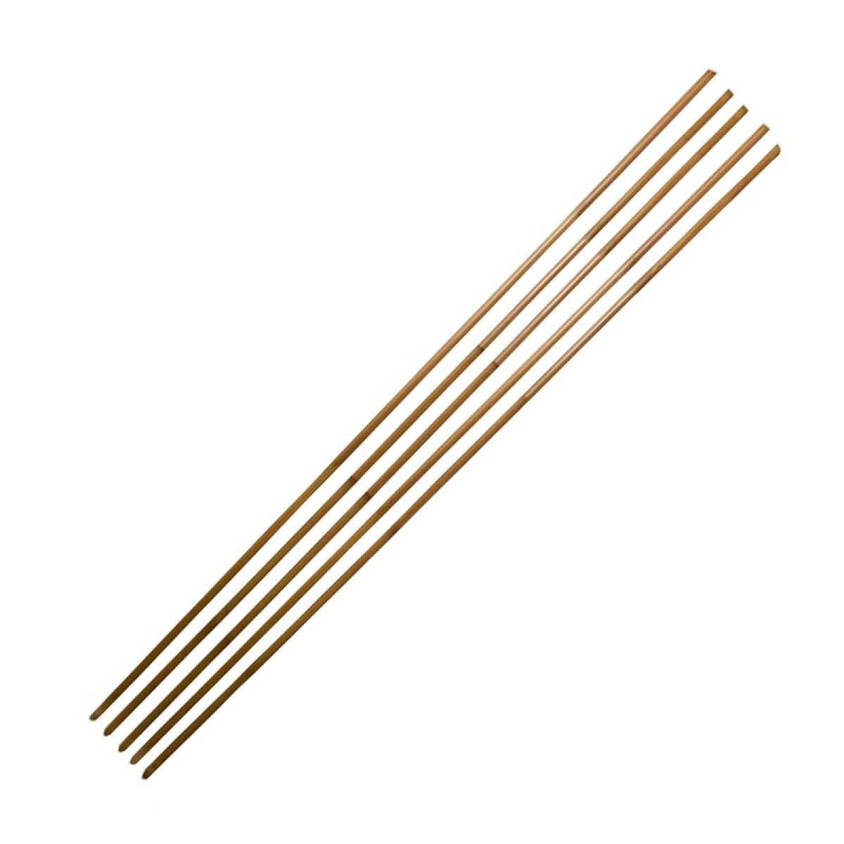 IVA_OFF Flor caña de bamboo color natural 160cm x5 - Iva_off Flor Caña De Bamboo Color Natural 160cm X5 