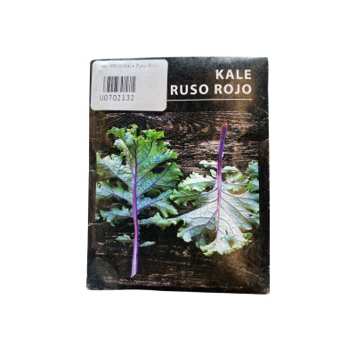 Semillas de kale ruso rojo Semillas De Kale Ruso Rojo