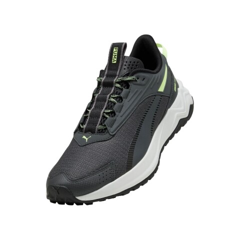CHAMPION 40-45 GRIS