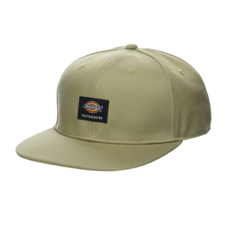 Gorro Dickies Skateboarding Flat Bill