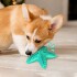 Juguete Perro Dental Morder Higiene Estrella Marina Flotante Color Variante Verde Agua