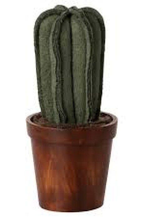 CACTUS Y MACETA CACTUS Y MACETA