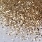 Glitter / Brillantina 1 kg Champagne