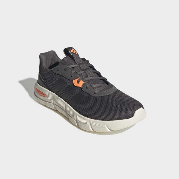 Championes Adidas Cloudfoam Flex Gris