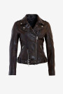 CHAQUETA WILD Marron