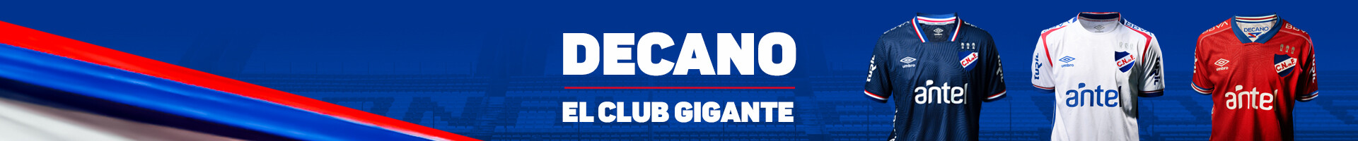 Camisetas Oficiales