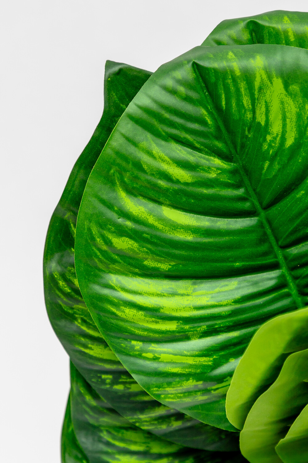 Planta Verdalia Mix Color Unico