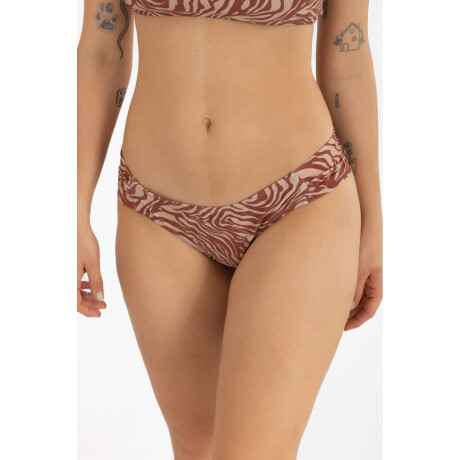 Vedetina bilbao est Zebra joy