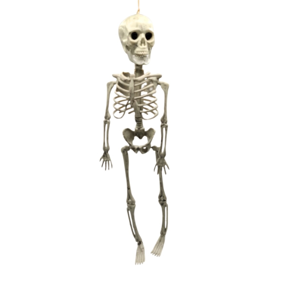 Esqueleto de Halloween 