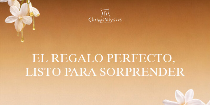 Descubre la fragancia que te representa