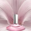 Perfume Calvin Klein Euphoria Eau de Toilette 100ml Original Perfume Calvin Klein Euphoria Eau de Toilette 100ml Original