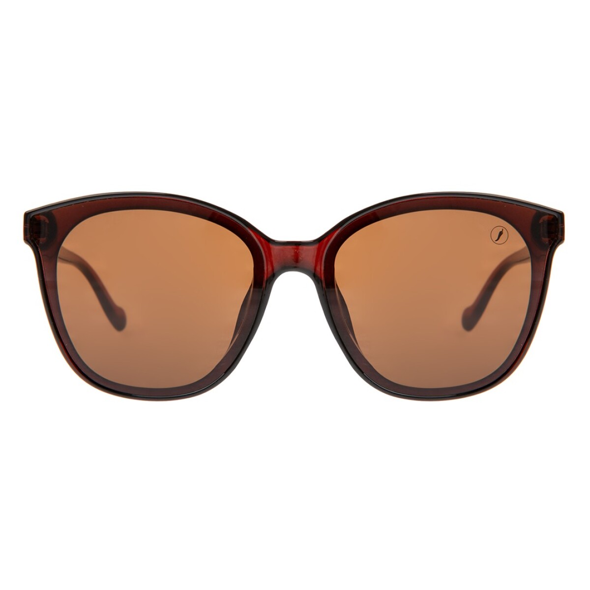 Lentes de Sol Chilli Beans Denver - Marrón 