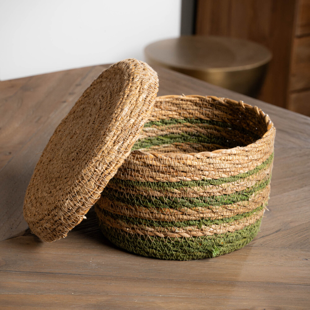 Canasto Agostina, S Canasto Agostina, S