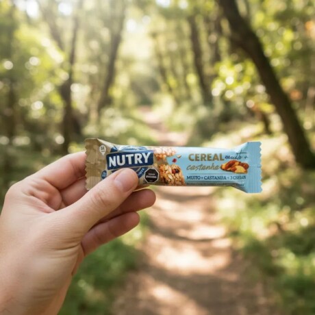 Barra de Cereal 22grs x24 Castañas