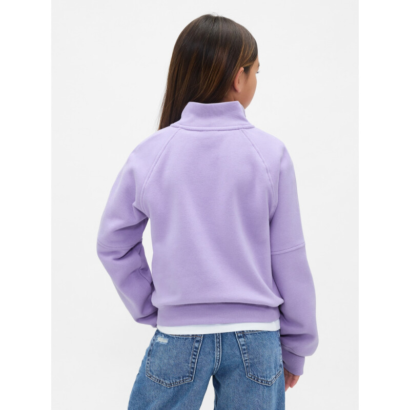 VTG SOFT 1/4 ZIP KANGA PO WARM VIOLET 568