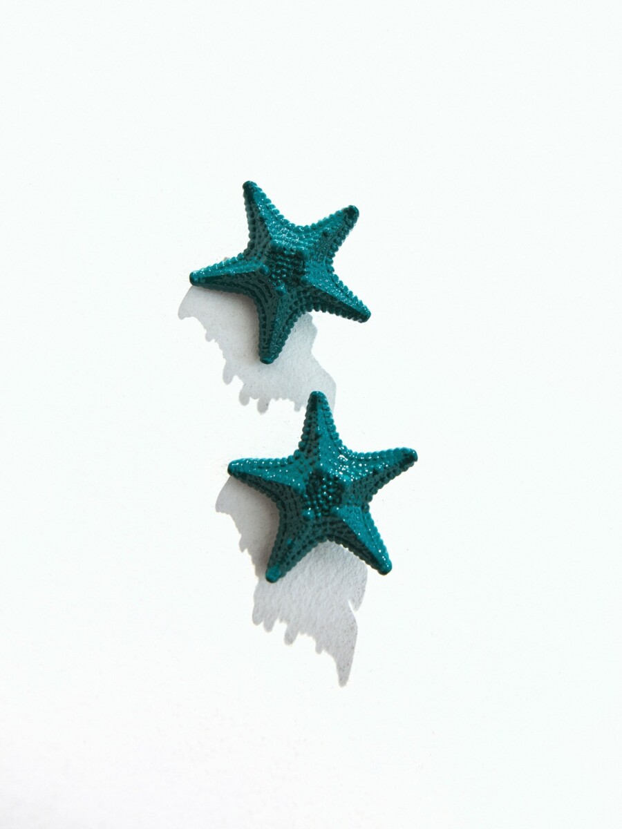 Pendientes De Estrellas De Mar rosa