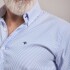 CAMISA OXFORD Blanco rayado